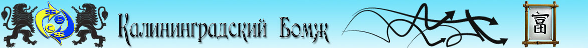 Калининградский бомж, финансы, деньги, заработок, интернет, оптимизация, не зависимый взгляд...