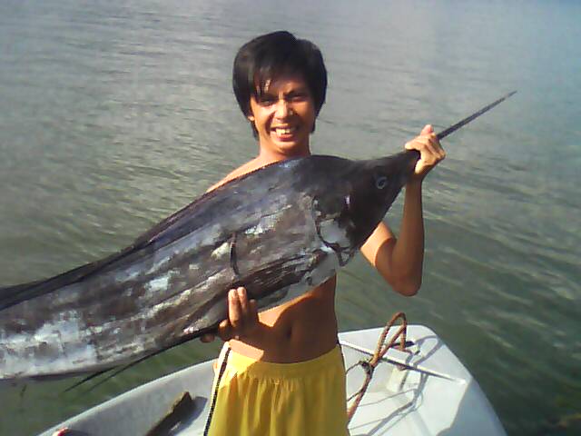 sailfish beb