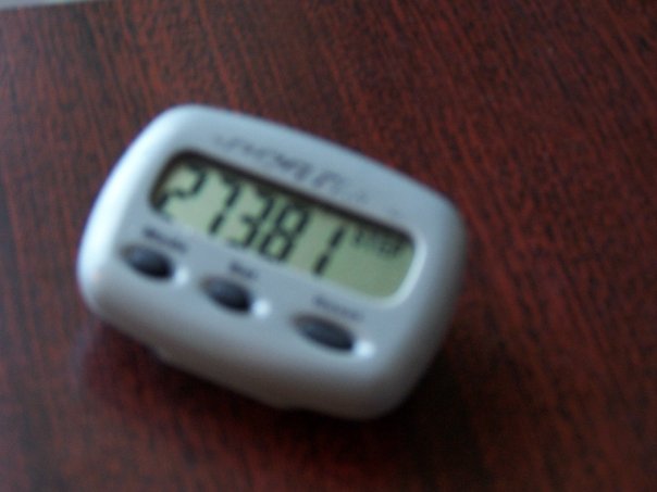 [pedometer.jpg]