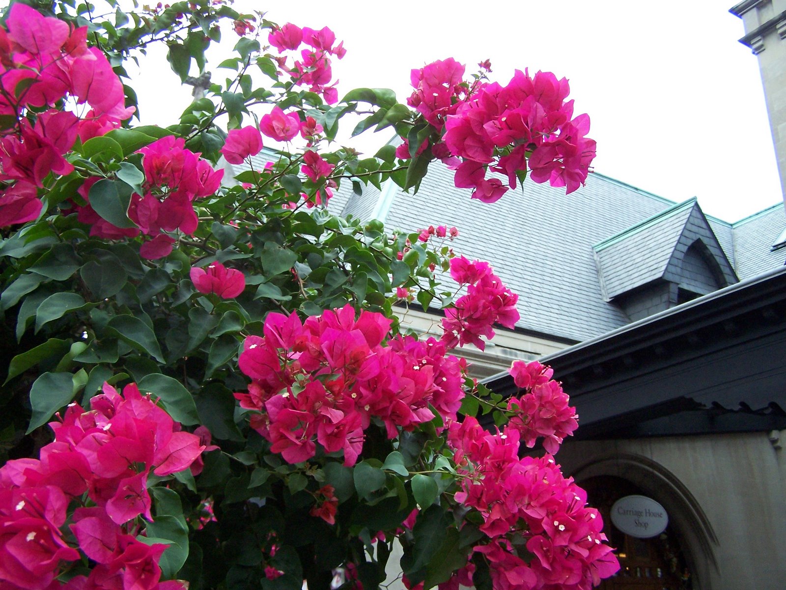 [D.C.+and+Asheville+123.jpg]