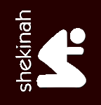 Missão Evangélica Shekinah