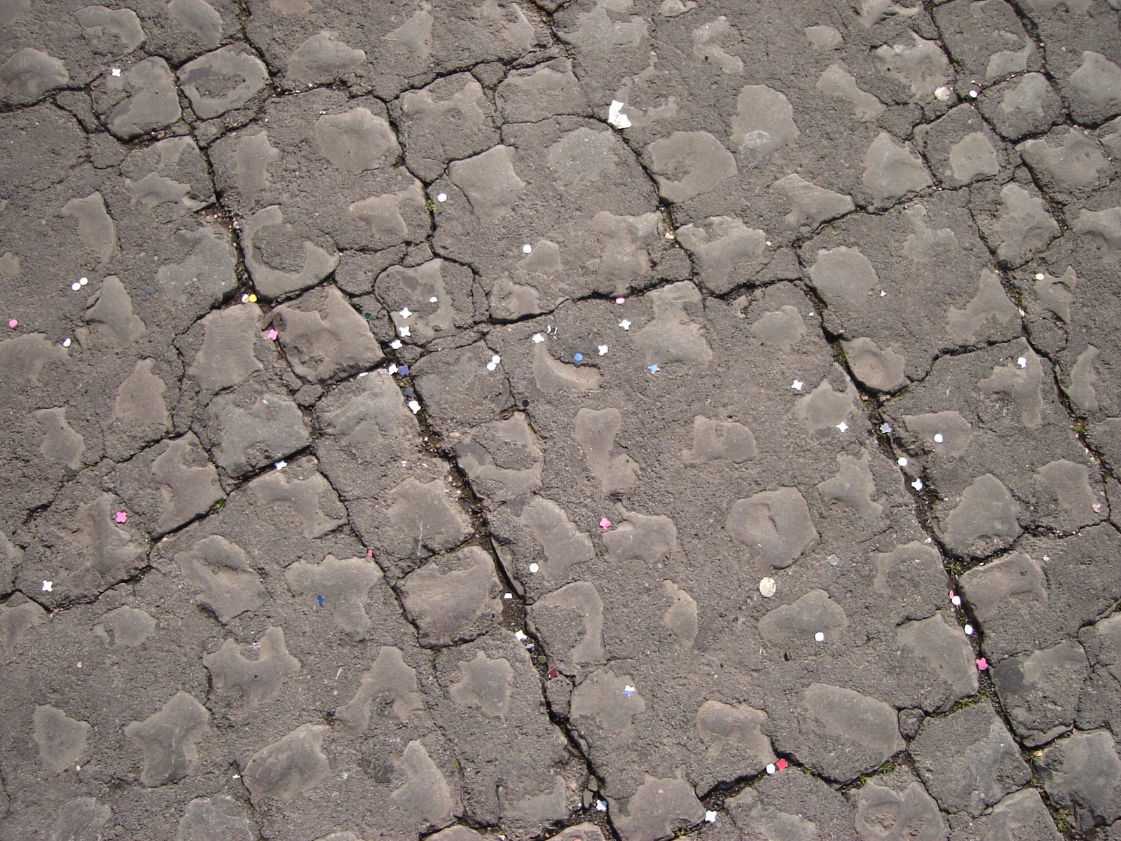 [DSC08755.JPG]