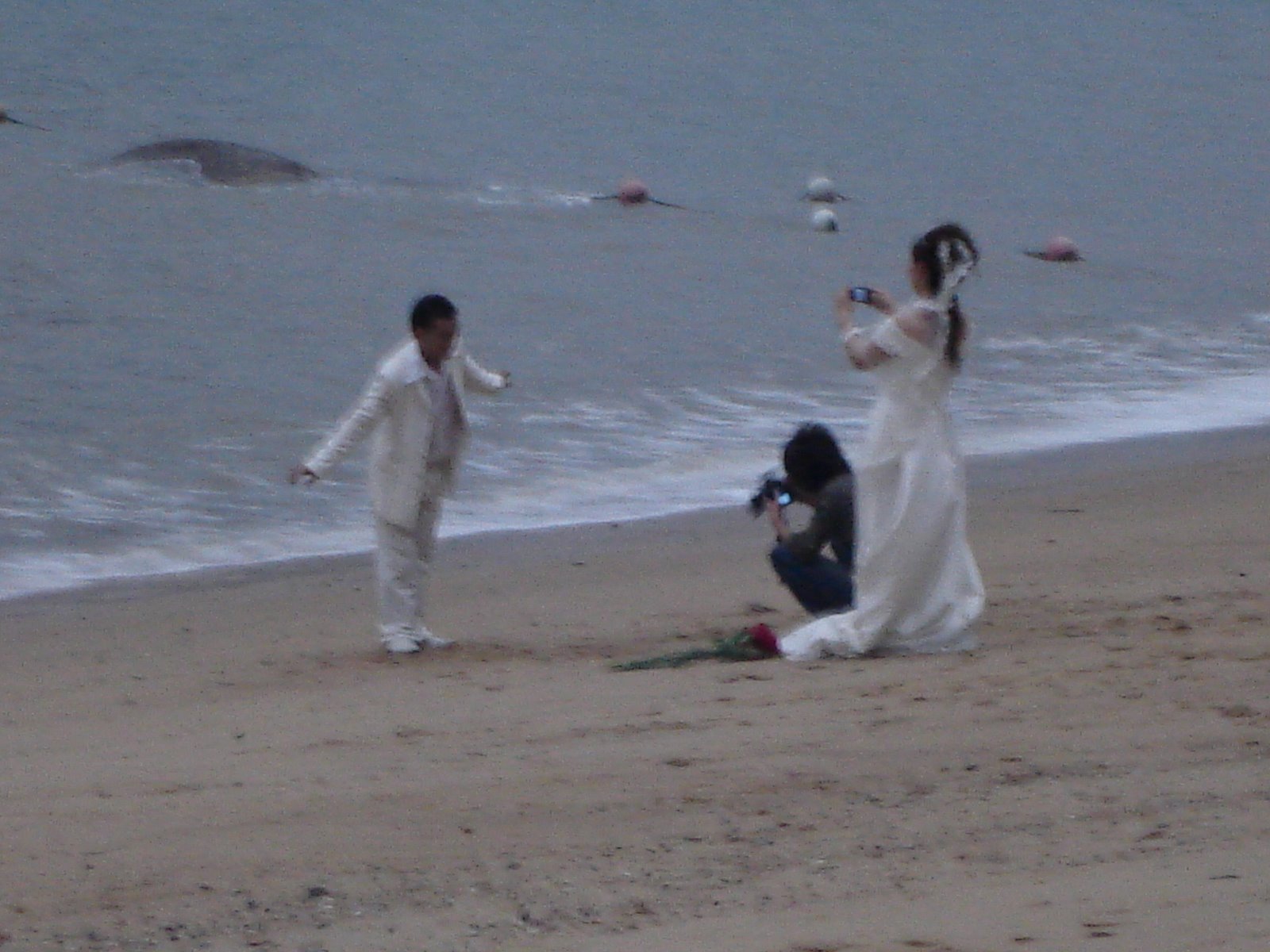 [DSC01393.JPG]