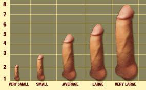 Shemale with a small penis porn free