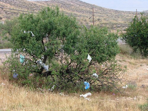 [CUEVA+DE+LOS+MEDINAS.jpg]