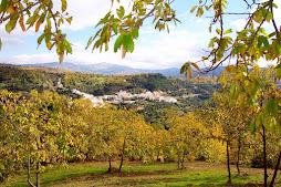 Castaños en otorño juzcar al fondo