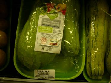 [sayote+brazil+2.jpg]