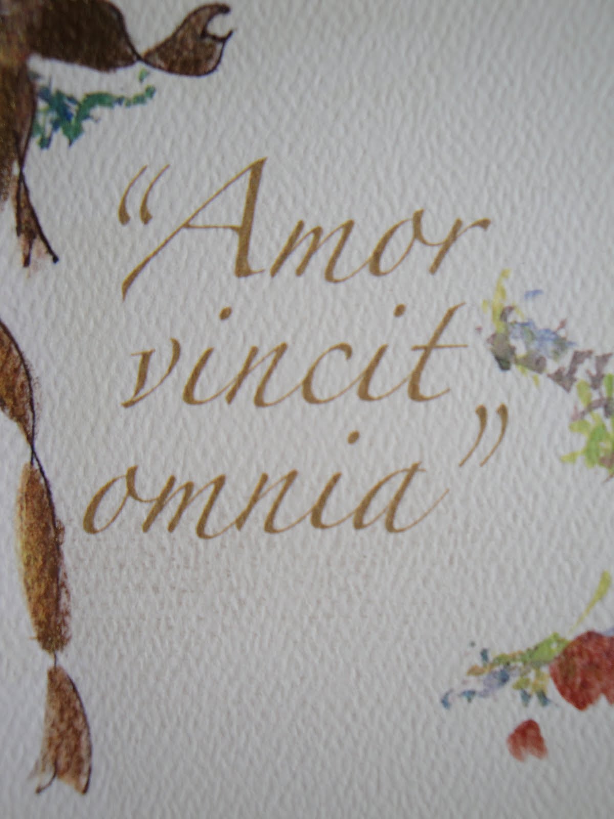 LiLi M.: Amor vincit omnia!
