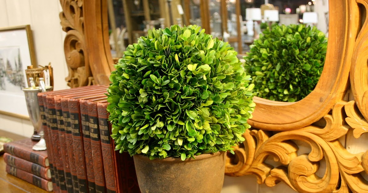E T C E T E R A S Preserved Boxwood Balls Are Here!!! Finally!