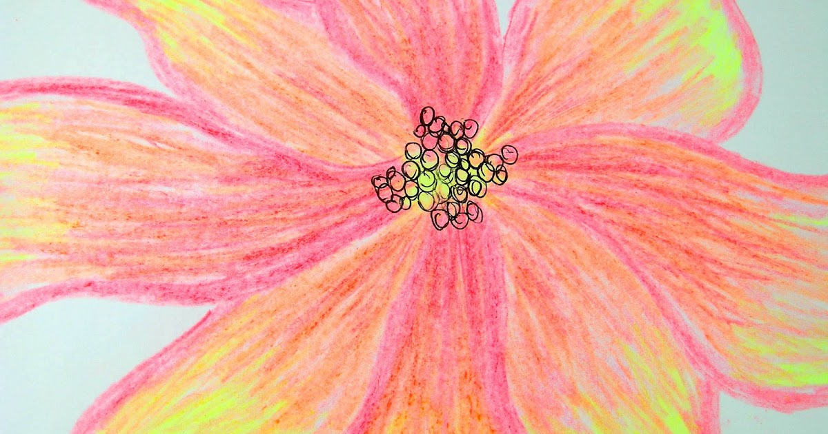 TanyaMcGuire: Flower Drawings