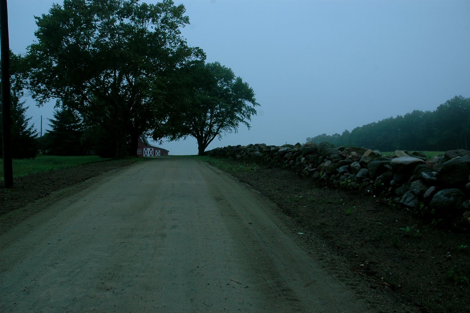 [DSC_2260.JPG]