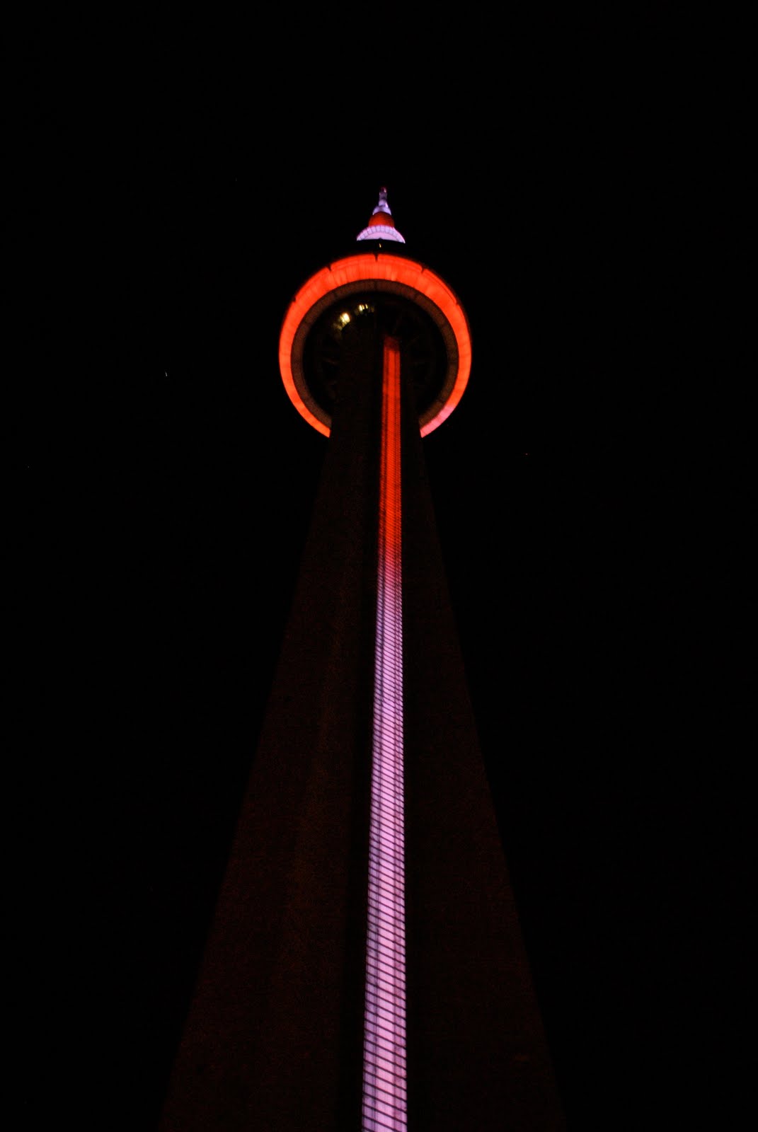 [DSC_0358.JPG]