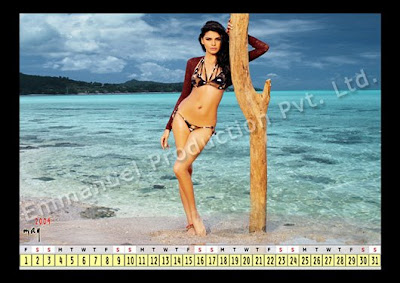 Sherlyn Chopra Bikini Calendar 2009