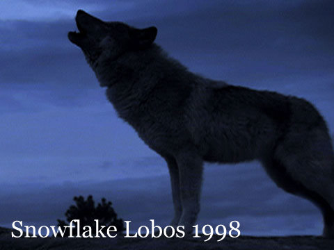 Snowflake Lobos 1998