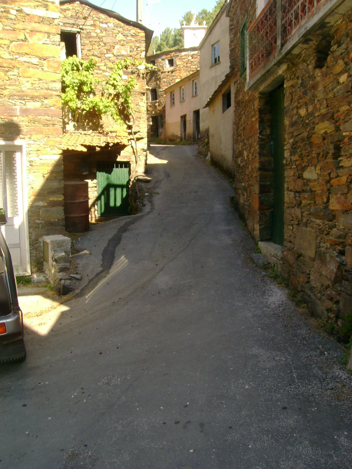 [DSC00704.JPG]