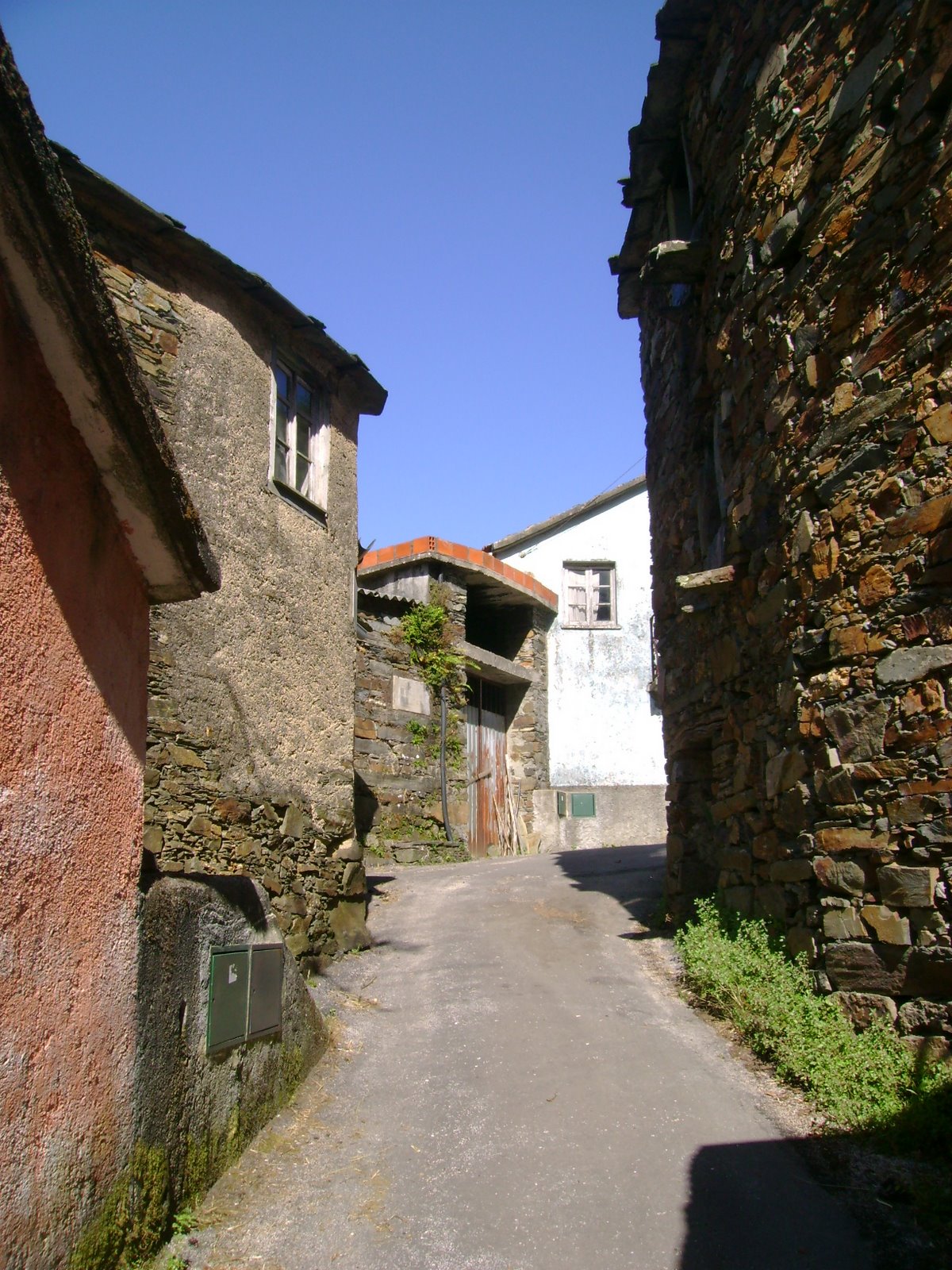 [DSC00707.JPG]