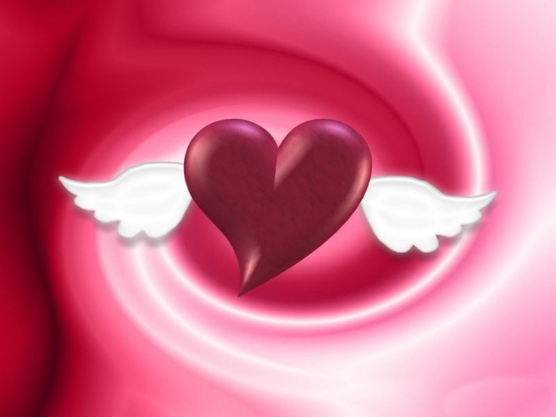fotos de corazones de amor corazones de amor. fotos de corazones de amor