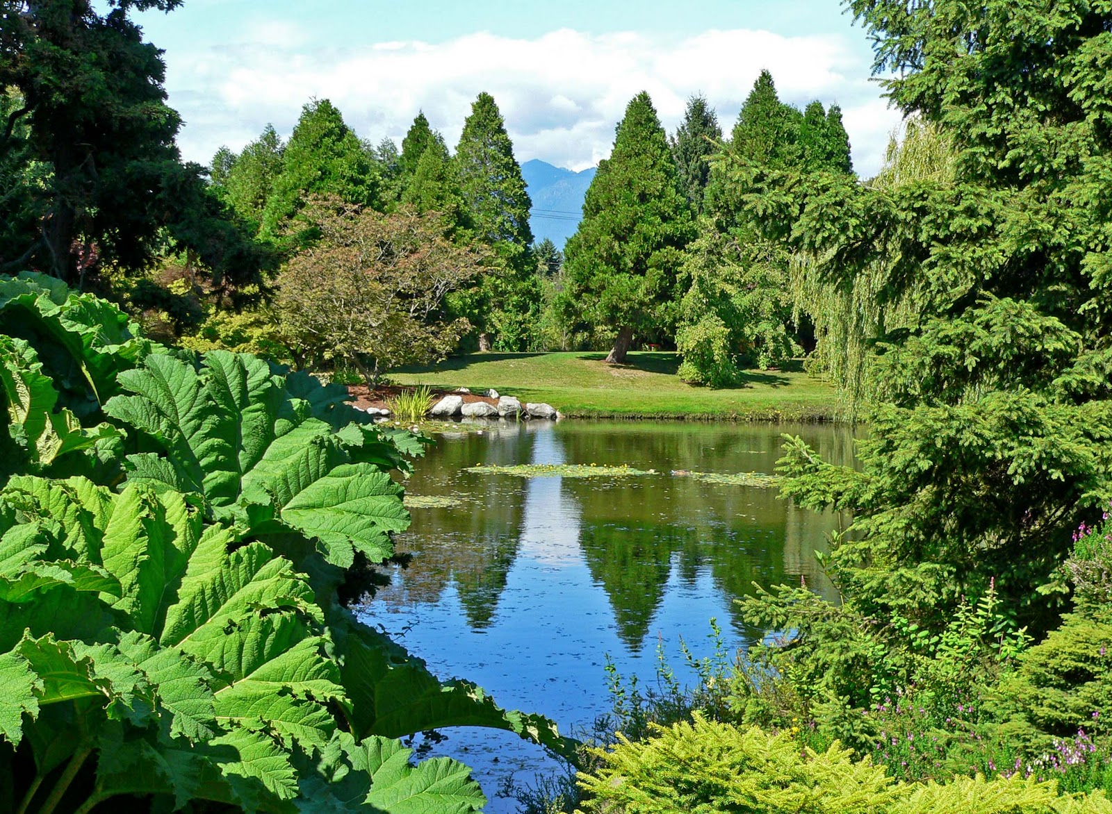 http://4.bp.blogspot.com/_0cQvKcG8fOQ/TRx30WirknI/AAAAAAAAAEQ/3j5dkfdRMAA/s1600/VanDusen_Botanical_Garden_1.jpg