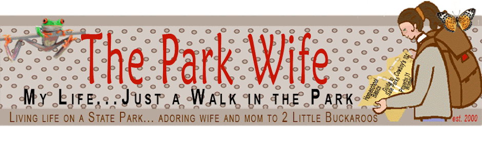 The Park Wife