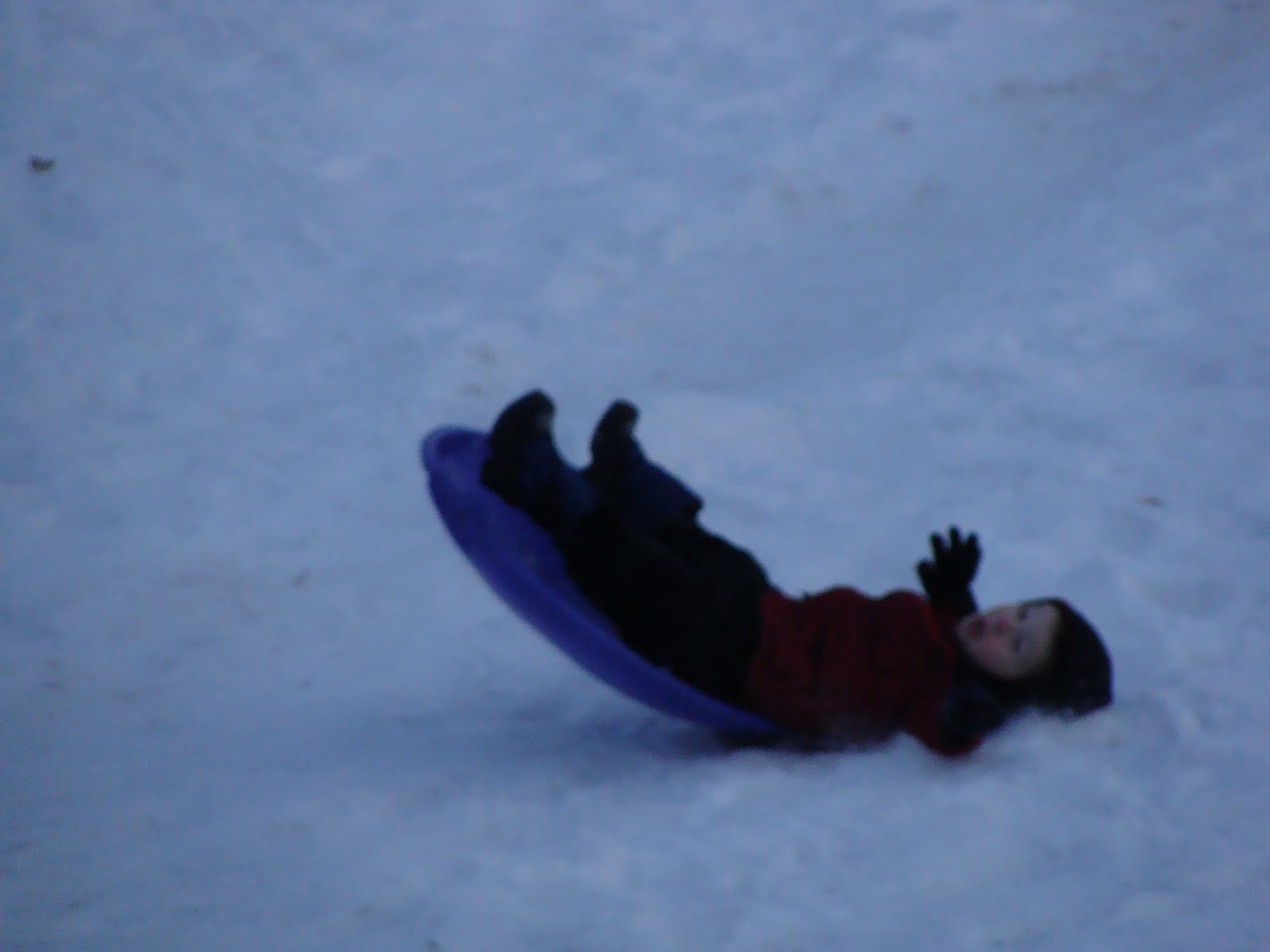 [DSC00930.JPG]