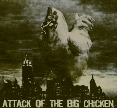 chicken attack