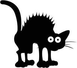 am the biggest scaredy cat
