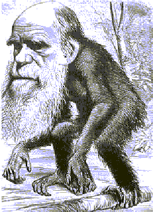 [darwin.gif]