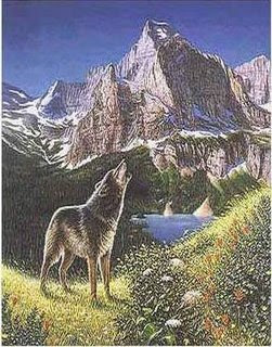 Eye tricks: Can you find all 5 wolves Eye tricks: Can you find all 5 wolves