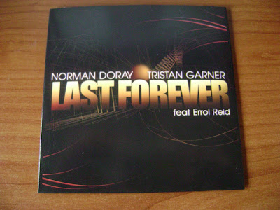 Norman Doray and Tristan Garner Feat Errol Reid - Last Forever