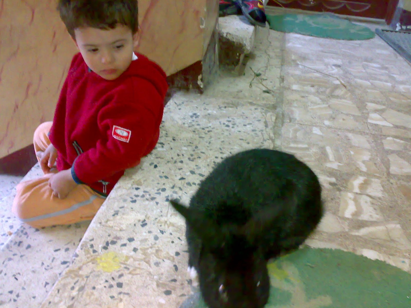 [Ø¬ÙŠØ¬ÙŠÙ§Ù¢Ù¦Ù]