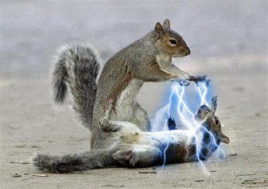 [squirrel_sith_lightning.jpg]