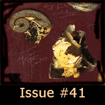 Issue 41