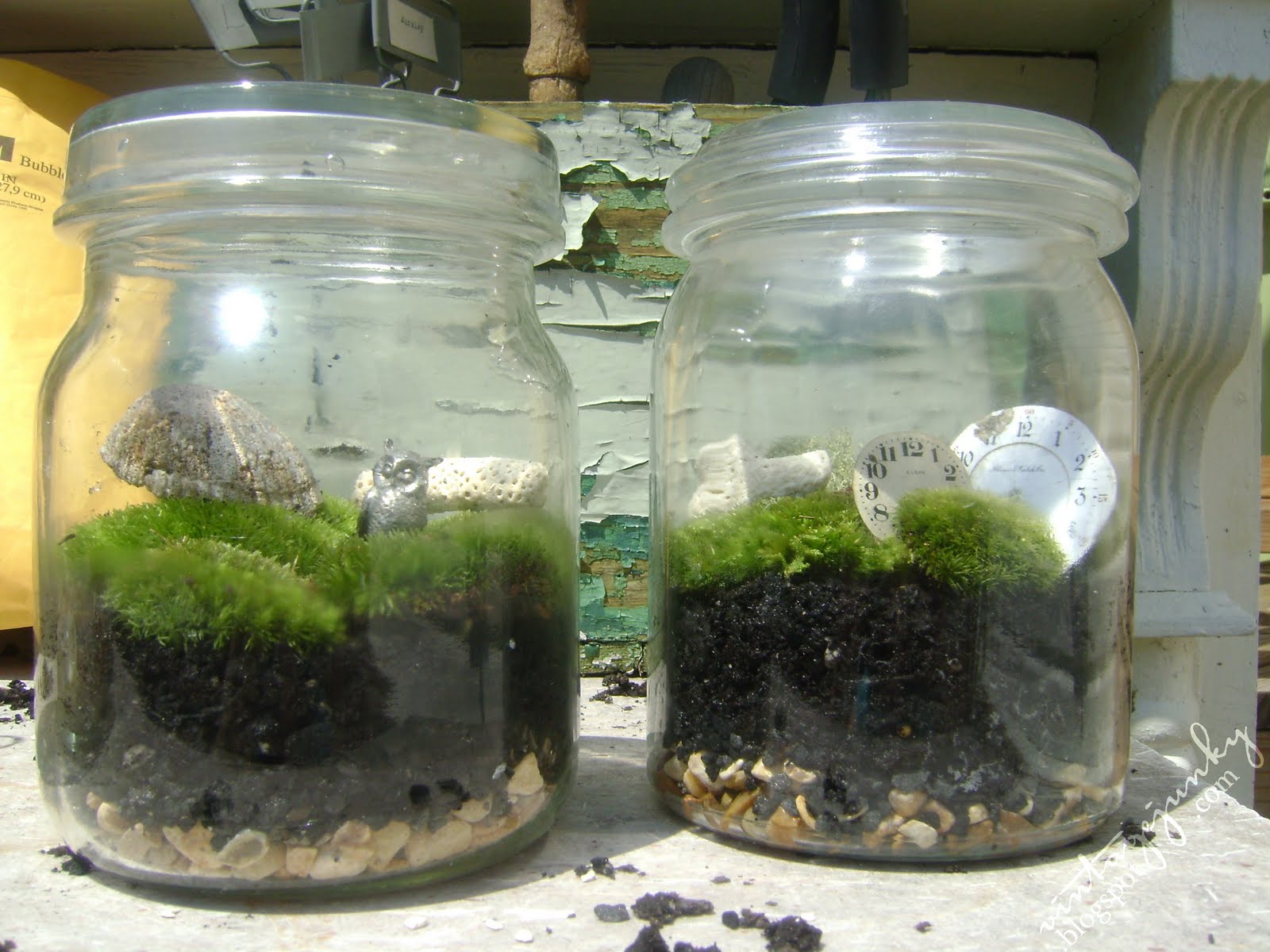 Vintage Junky Creating Character Moss Terrariums A How To + a giveaway