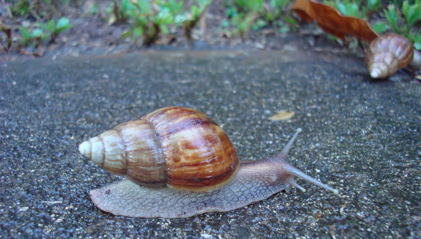 Traveling With Kids Traveling with children to Maui tips and things