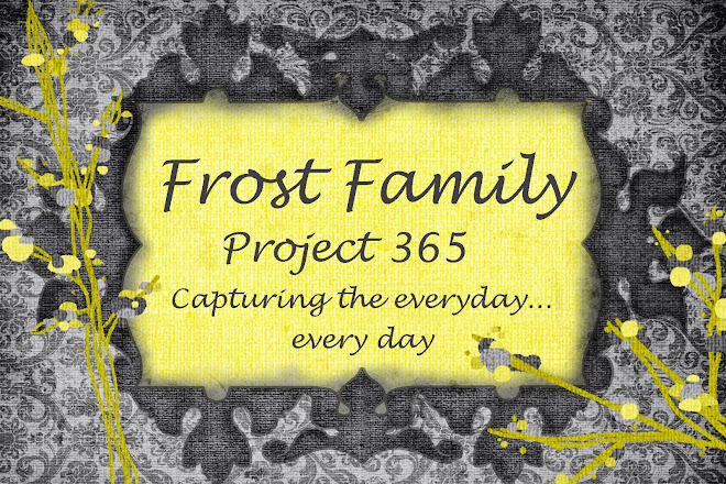 Project 365