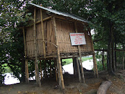 Bamboo Stilt Housing
