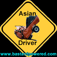 asian_driver.gif
