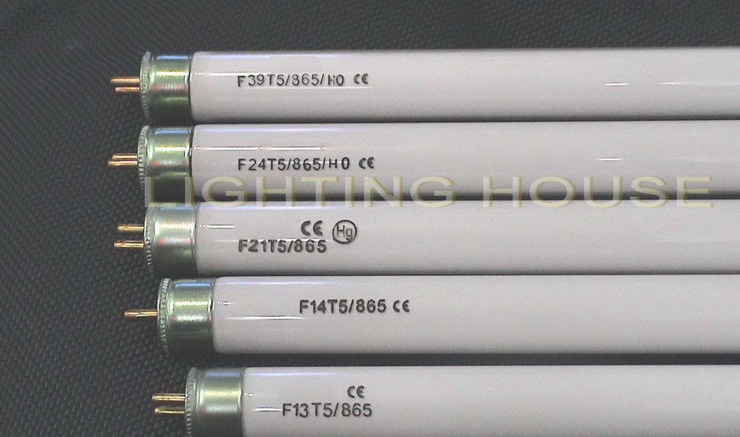 CESEEPS INTERNATIONAL