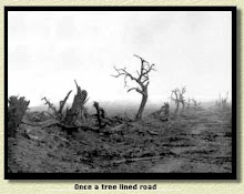 Once a Tree Lined Road