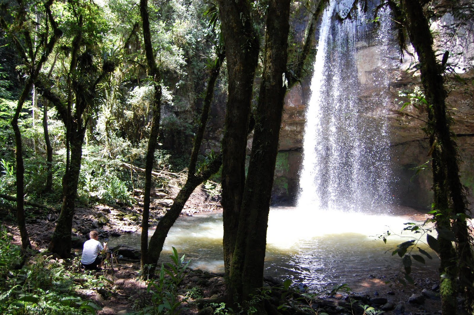 [DSC_1115.JPG]
