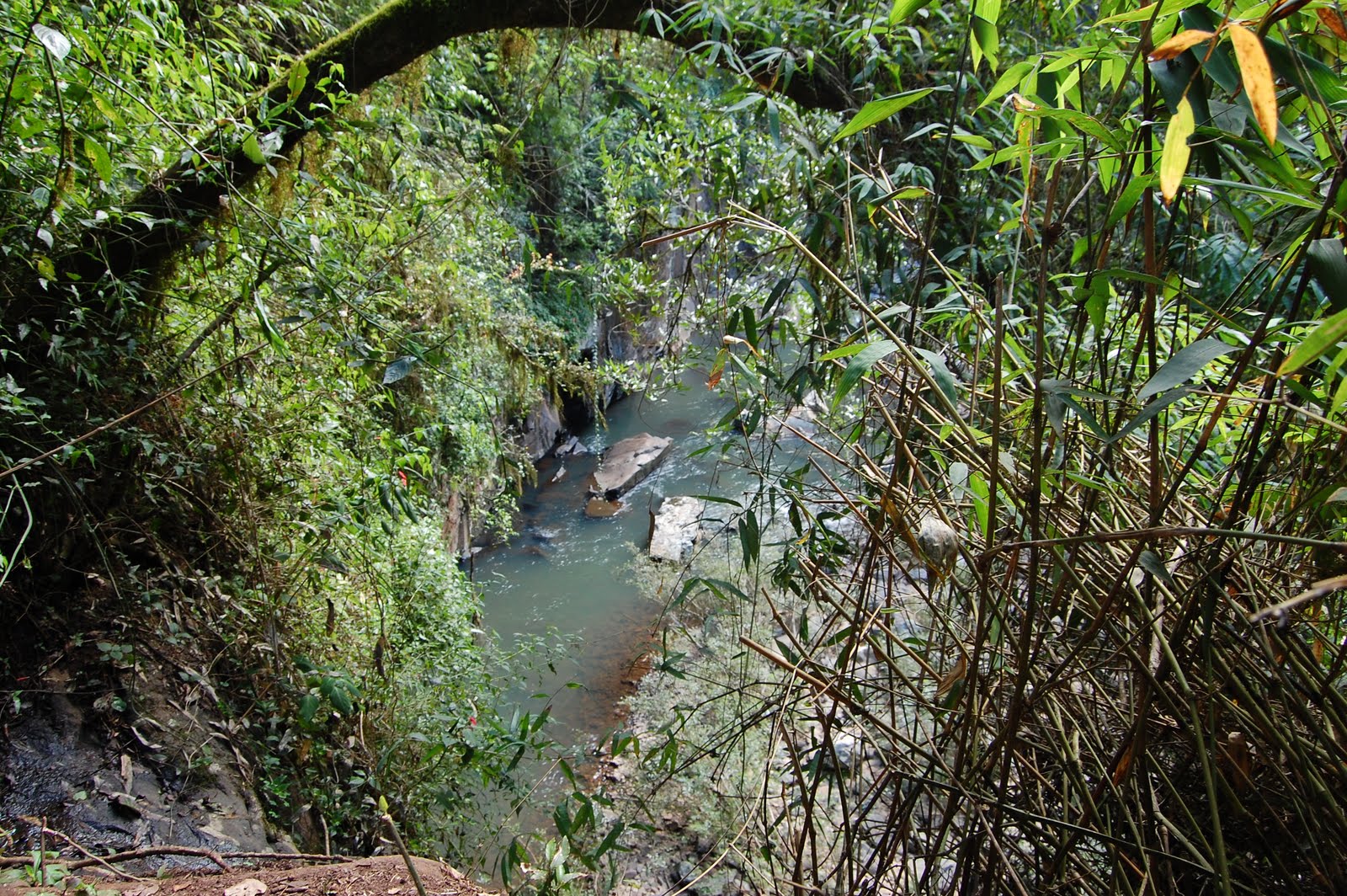 [DSC_1249.JPG]
