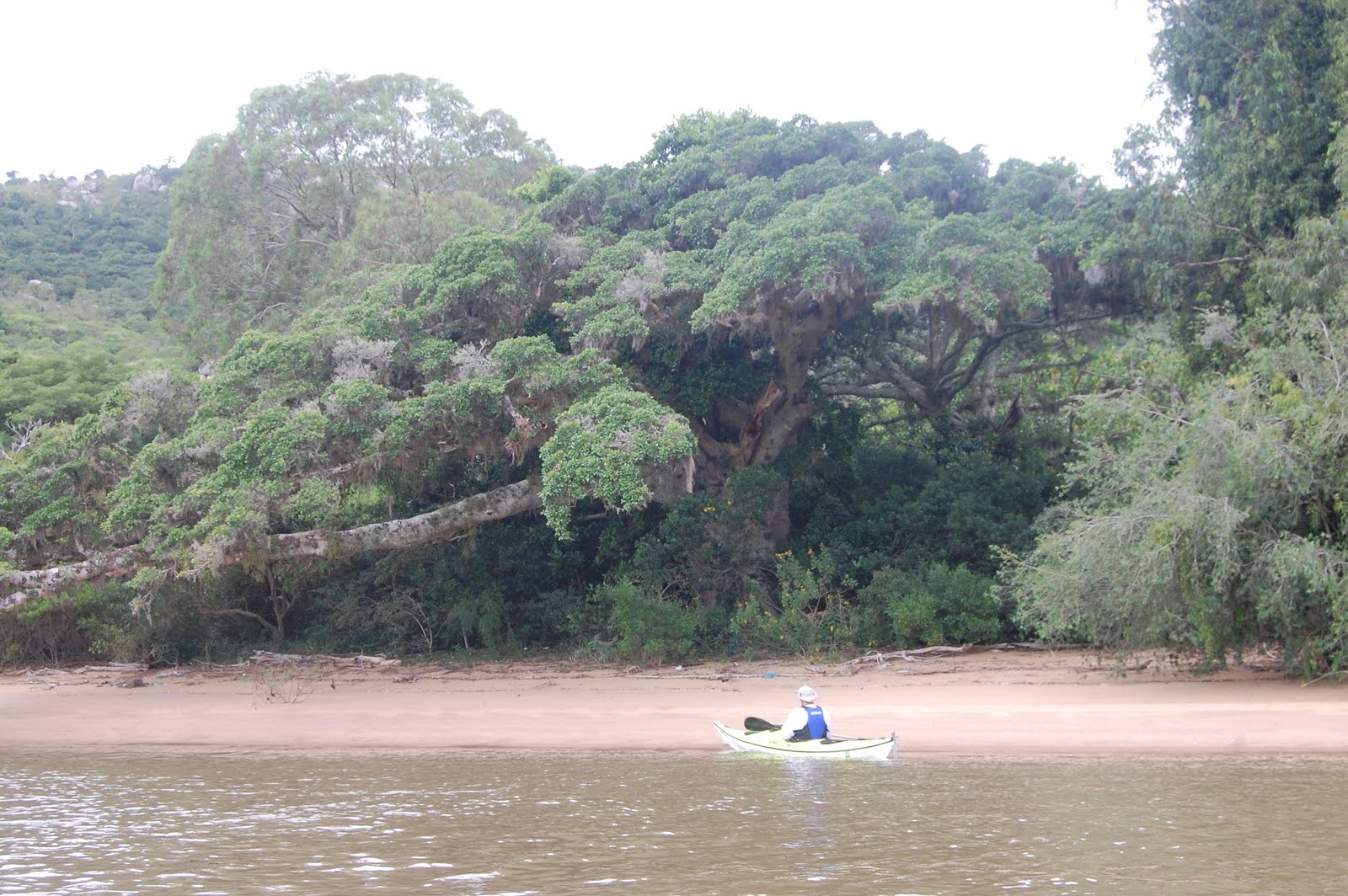 [DSC_1355.JPG]