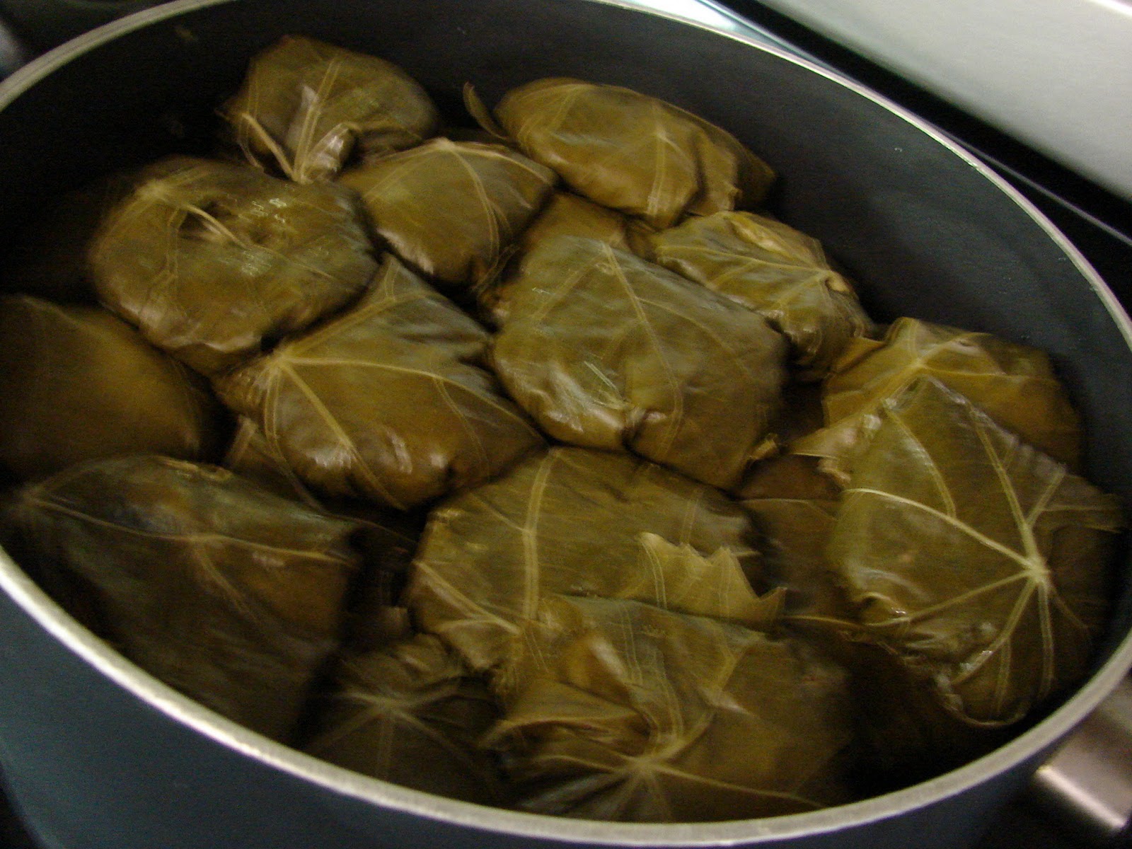 Persian cooking and more! Stuffed grape leaves (Dolmeh)