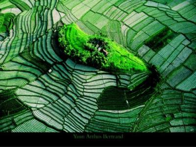 [Yann-Arthus-Bertrand-Island-in-the-rice-fields-of-Bali-58372.jpg]