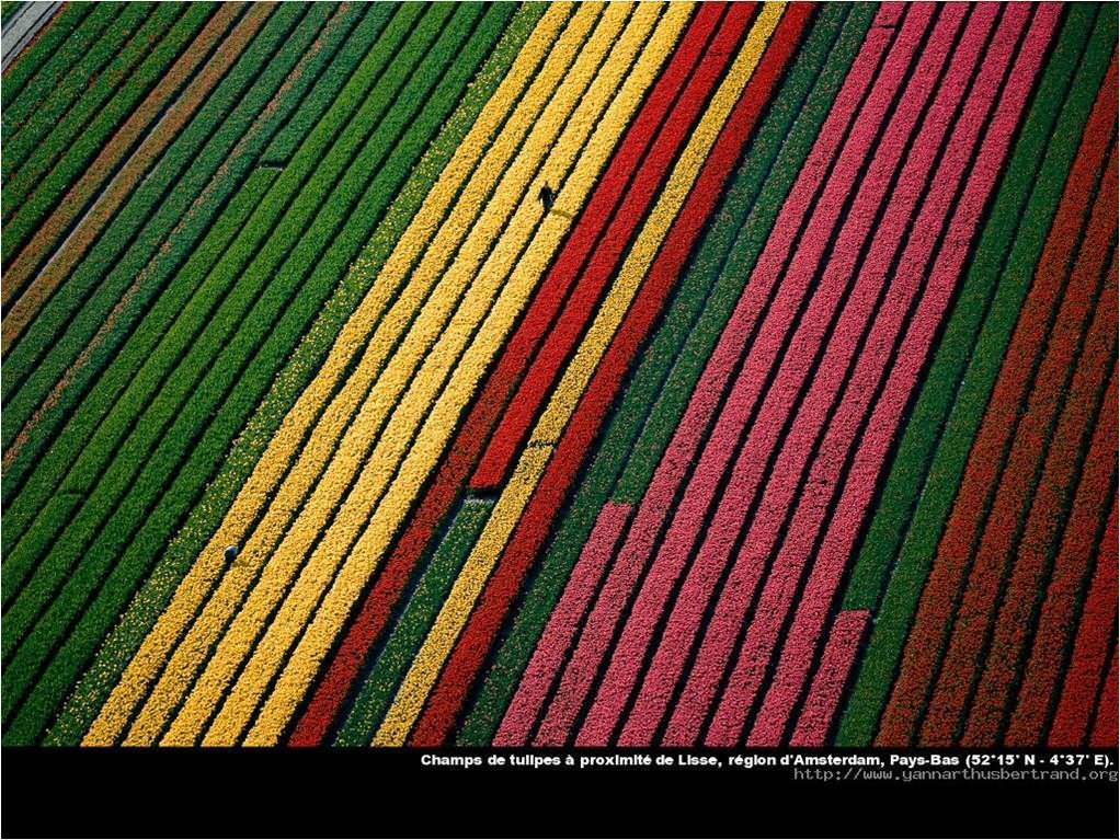 [yann-arthus-bertrand04.jpg]