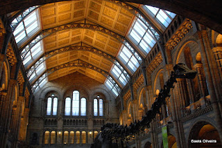 Átrio de entrada no Museu de História Natural, Londres, Janeiro 2010