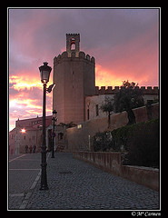 La preciosa Torre de espantaperros