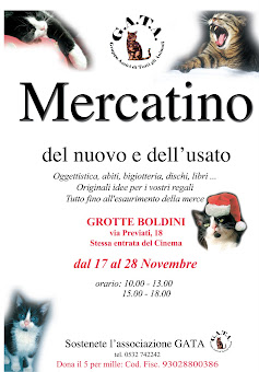 FERRARA - MERCATINO GATA 17/28 NOVEMBRE