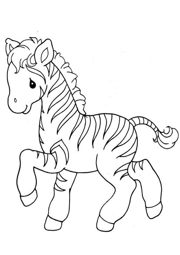 Zebra para colorear - Imagui