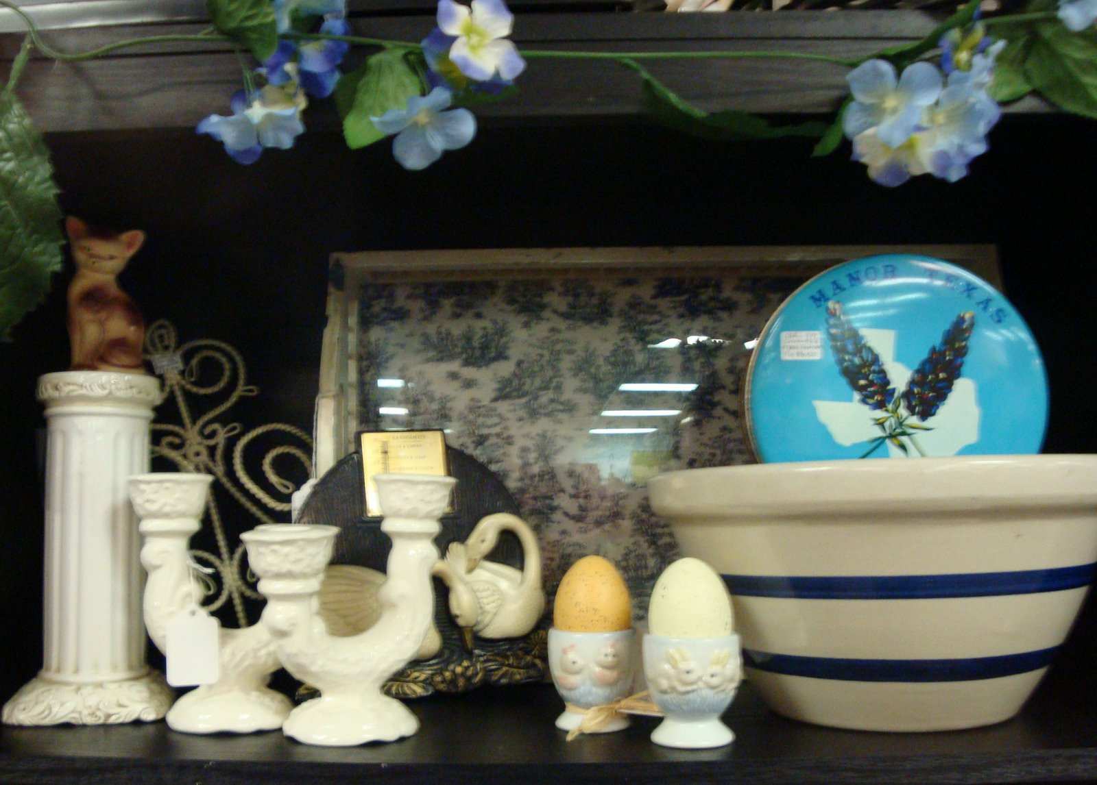 [DSC00112_edited-1.JPG]